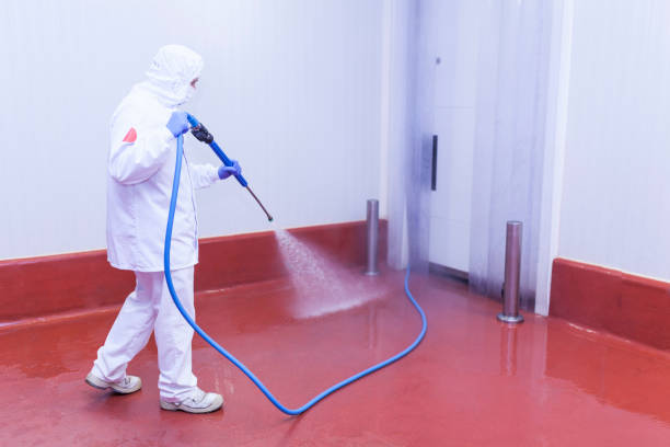 Trusted Beverly, OH Pressure Washing Services Experts